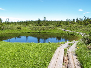 東北　Tohoku