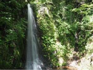 宇津江四十八滝-25 銚子口（ちょうしくち）滝