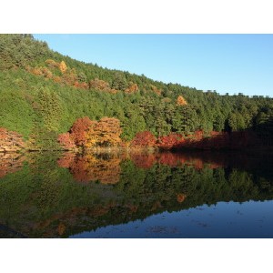 伊那ヶ湖-01