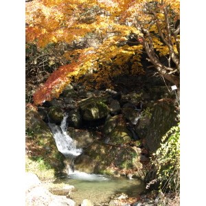 昇仙峡-04