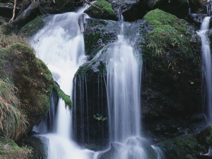 抱返り渓谷-08