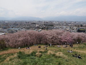 弘法山古墳-03