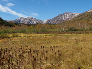 栂池自然園-07