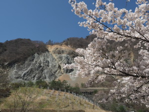大西公園-01