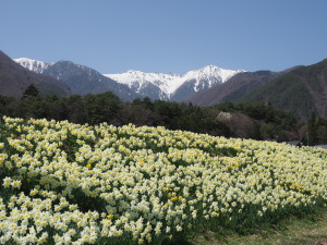 光前寺-10