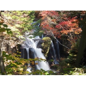 日光-03