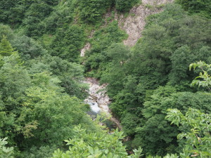 白山白川郷ホワイトロード-07